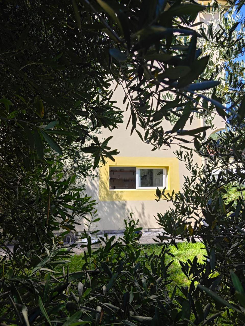 Apartmani Radovic Bijela Esterno foto